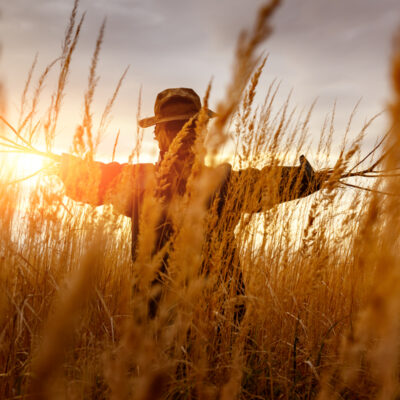 The Myth and History of Scarecrows